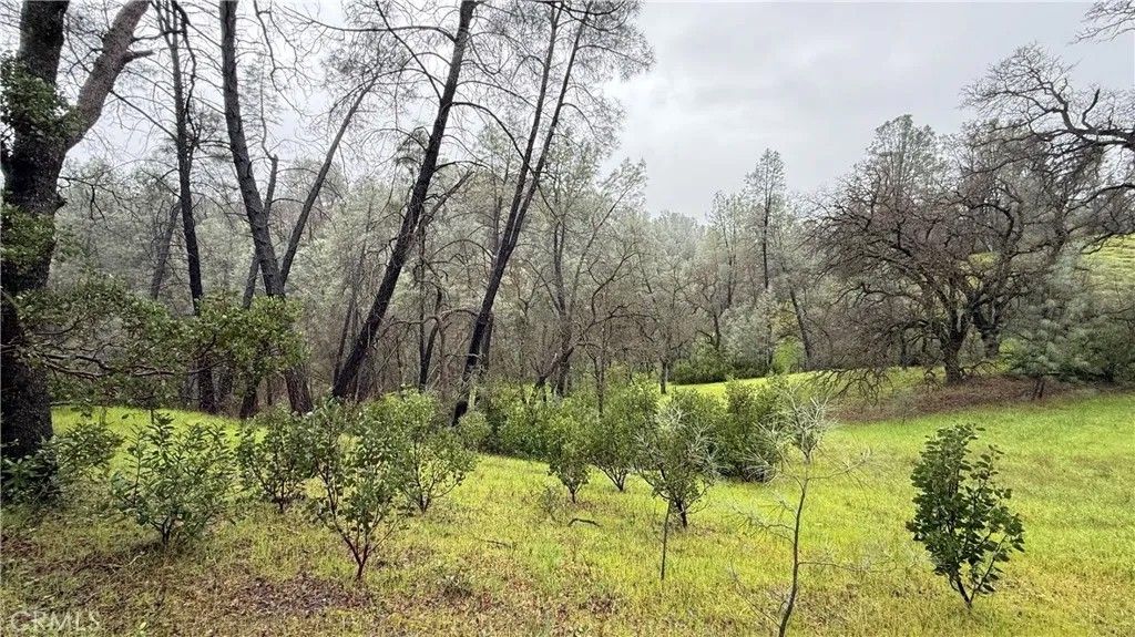 Photo of 16370 Oakridge Rd, Corning, CA 96021 (MLS # SN26035112)