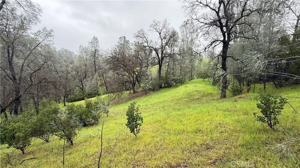 Photo of 16370 Oakridge Rd, Corning, CA 96021 (MLS # SN26035112)