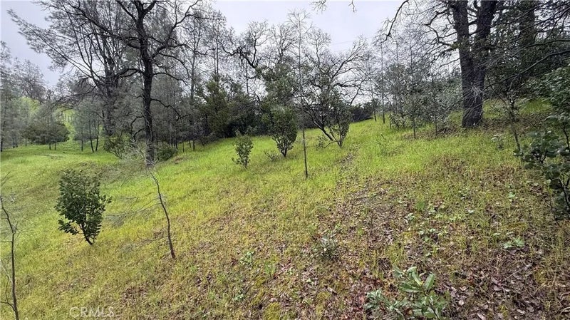 16370 Oakridge
