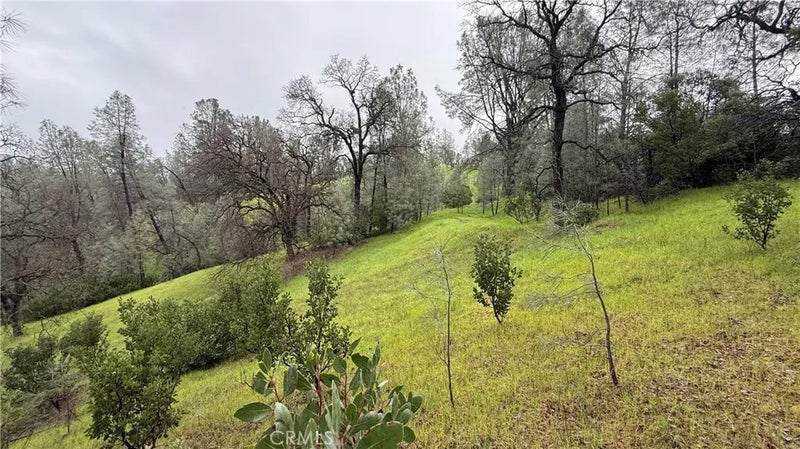 16370 Oakridge