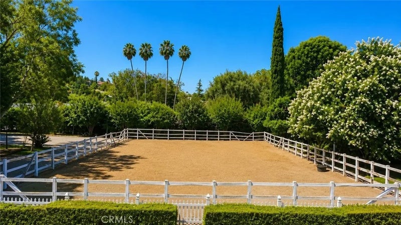 2621 Steeplechase