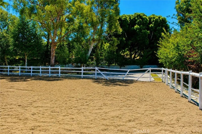 2621 Steeplechase