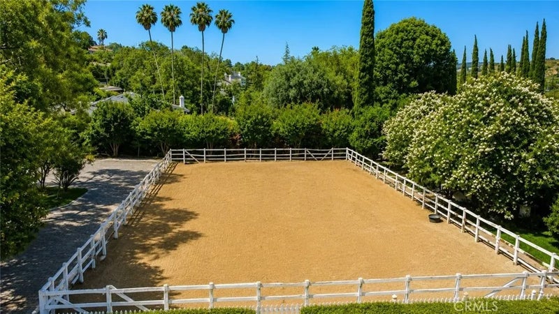2621 Steeplechase