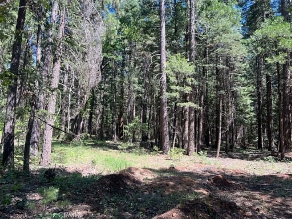 Photo of 0 Eastwood Way, Shingletown, CA 96088 (MLS # LC26112841)