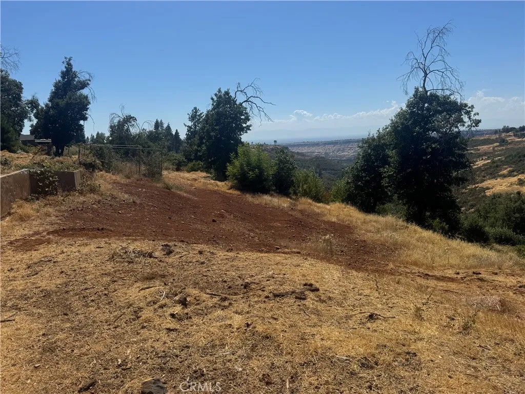 5595 Honey View