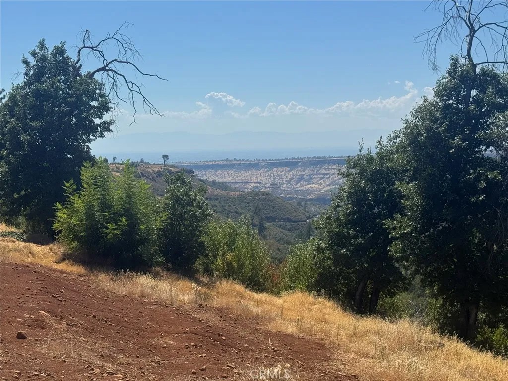 5595 Honey View