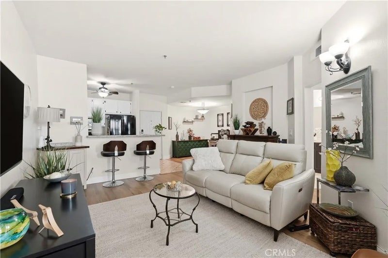 535 Magnolia 113
