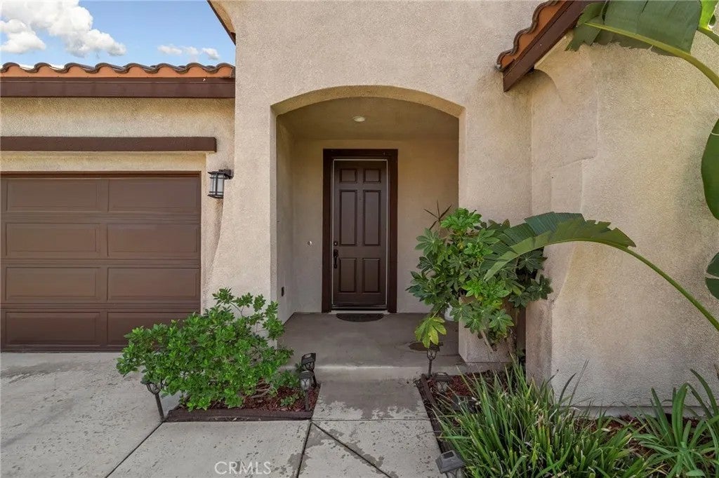 1001 Curlew Street