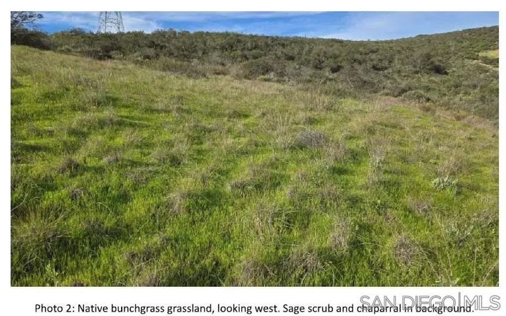 Photo of Highway 67, Lakeside, CA 92040 (MLS # 260008532)