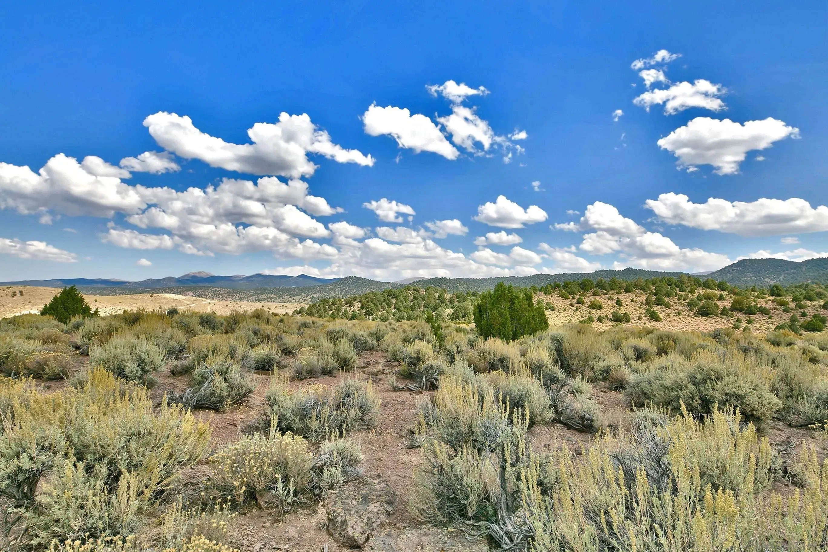 Bridgeport, California 93517, United States, 4 Bedrooms Bedrooms, ,4 BathroomsBathrooms,Residential,Active,62403