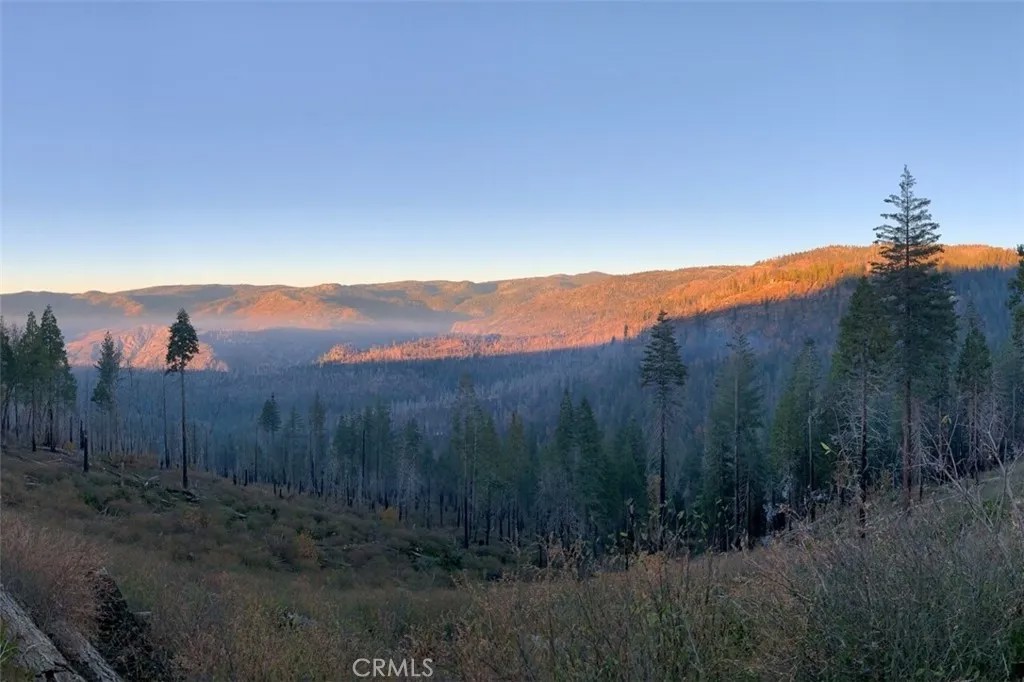 7170 Yosemite Park