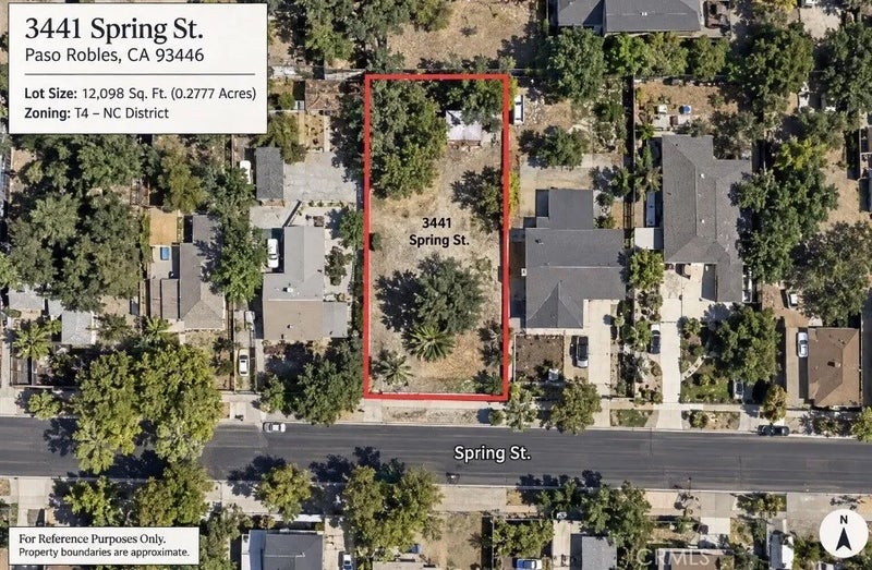 3441 Spring