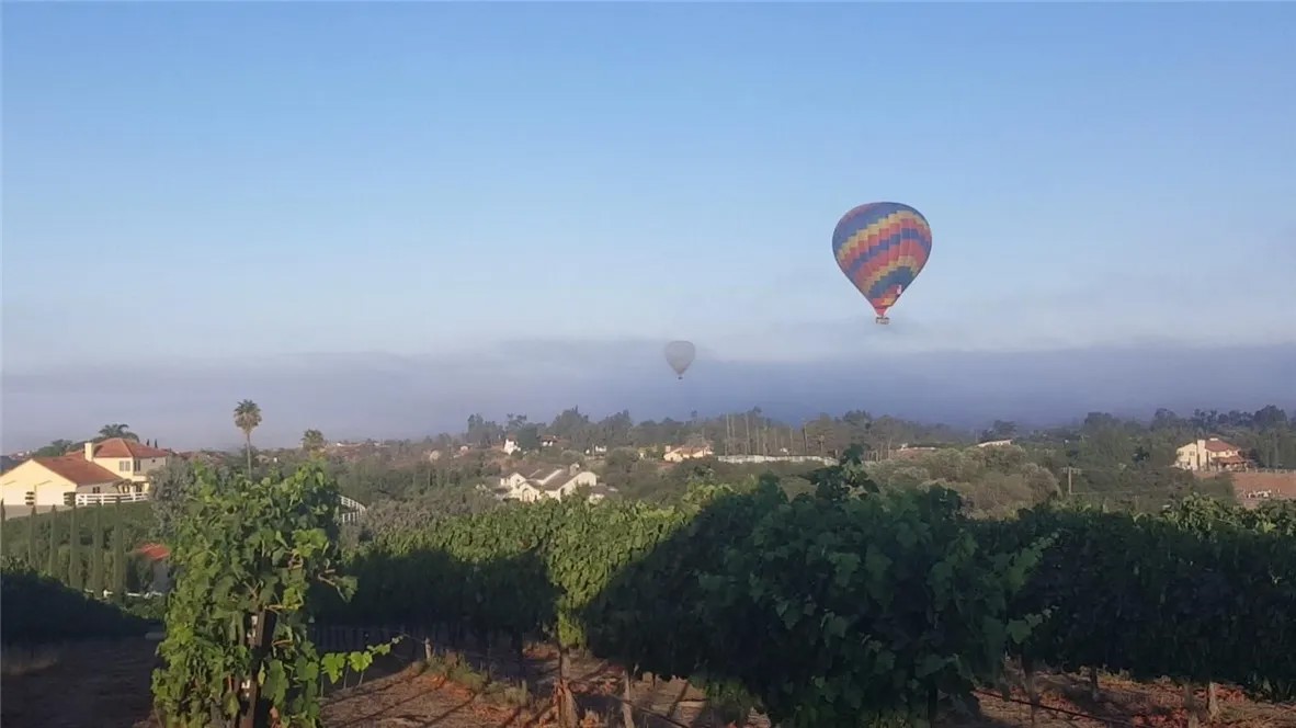 38386 Rock Creek Cir