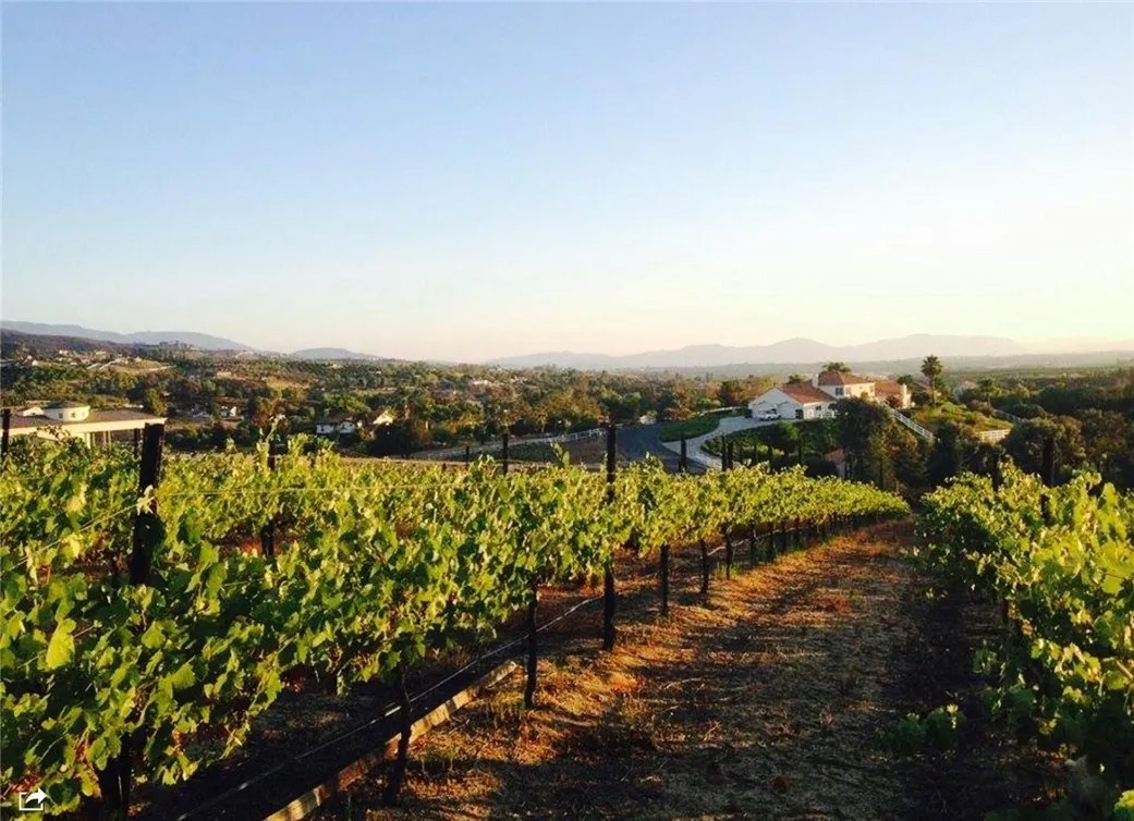 38386 Rock Creek Cir