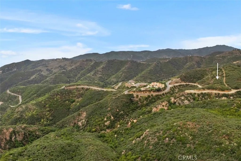 0 McReynolds