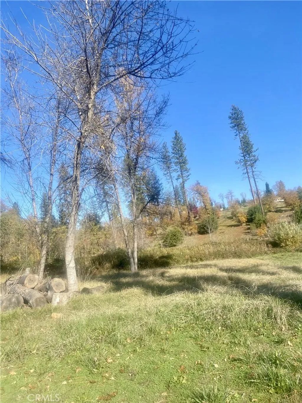 Photo of 1865 Paige Ln, Paradise, CA 95969 (MLS # SN25267529)