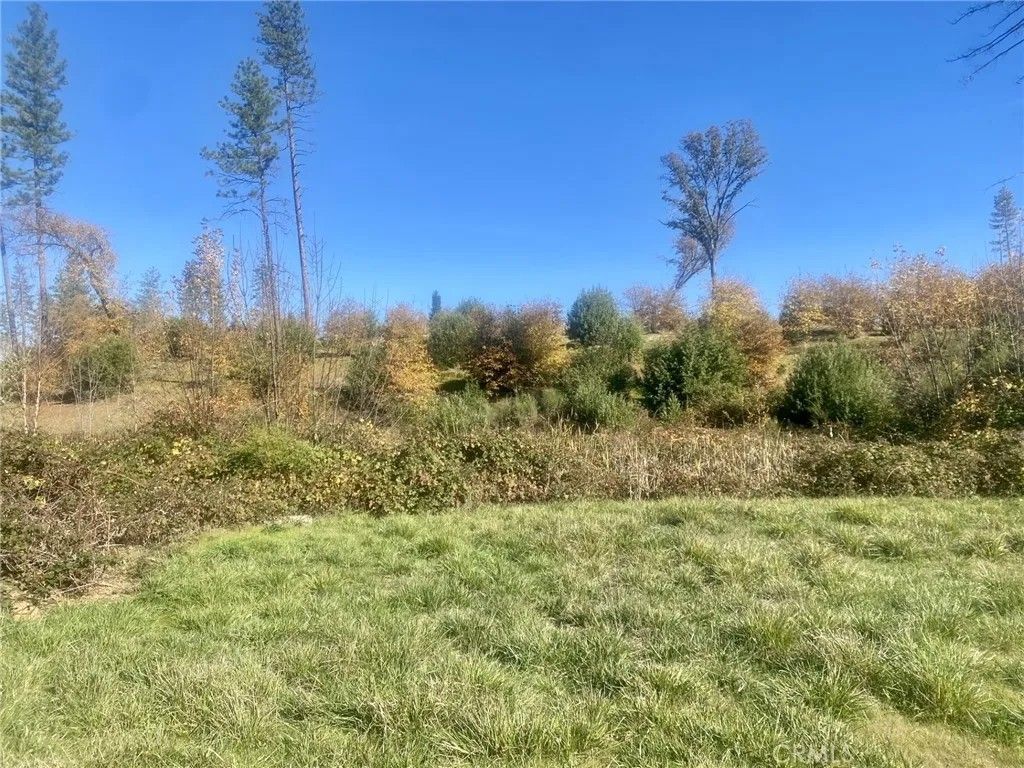 Photo of 1865 Paige Ln, Paradise, CA 95969 (MLS # SN25267529)