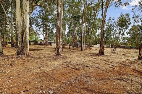 Tiny photo for 7040 Fulton Ave, Palermo, CA 95968 (MLS # OR25246191)
