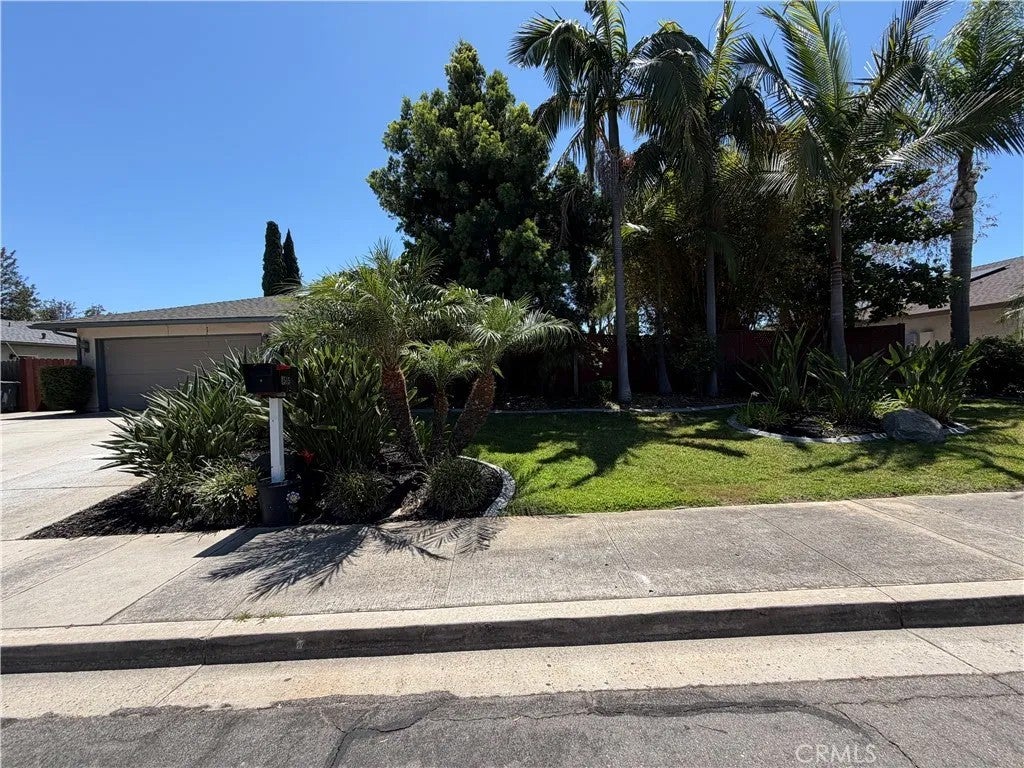 1515 Montiel Road