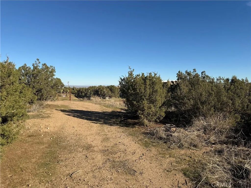 Photo of 0 Neilson, Phelan, CA 92371 (MLS # SW25279159)