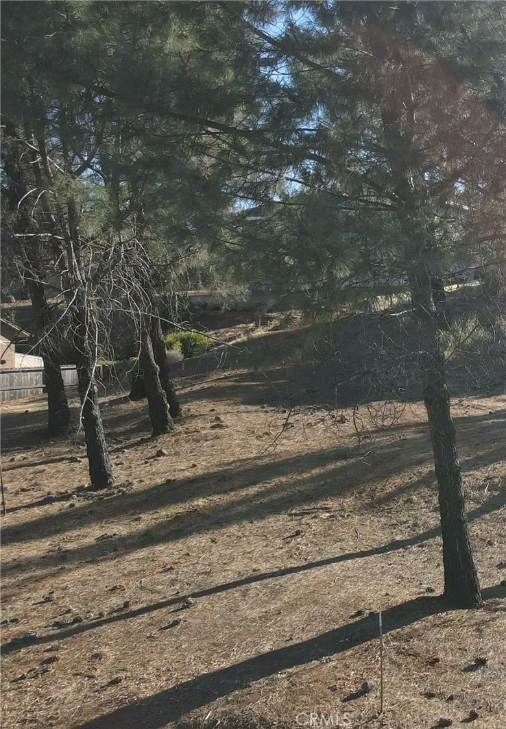4525 Sierra Del Sol
