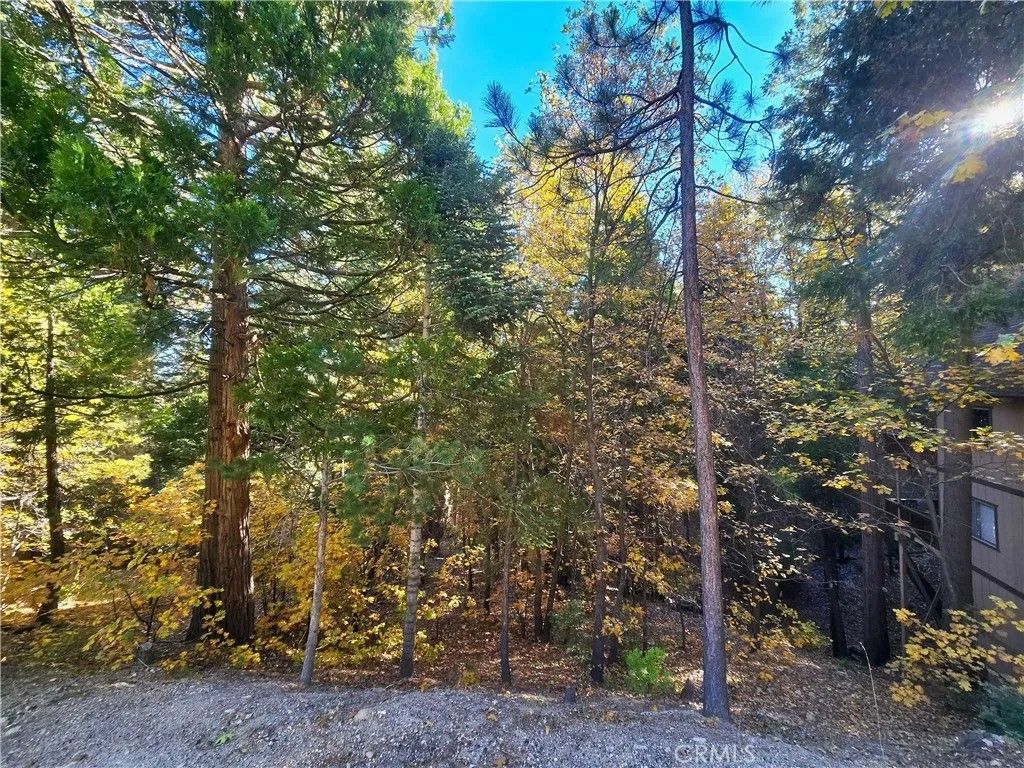 Photo of 0 Brentwood, Lake Arrowhead, CA 92352 (MLS # HD25249241)