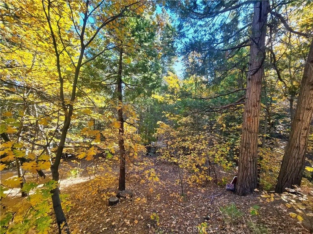 Photo of 0 Brentwood, Lake Arrowhead, CA 92352 (MLS # HD25249241)