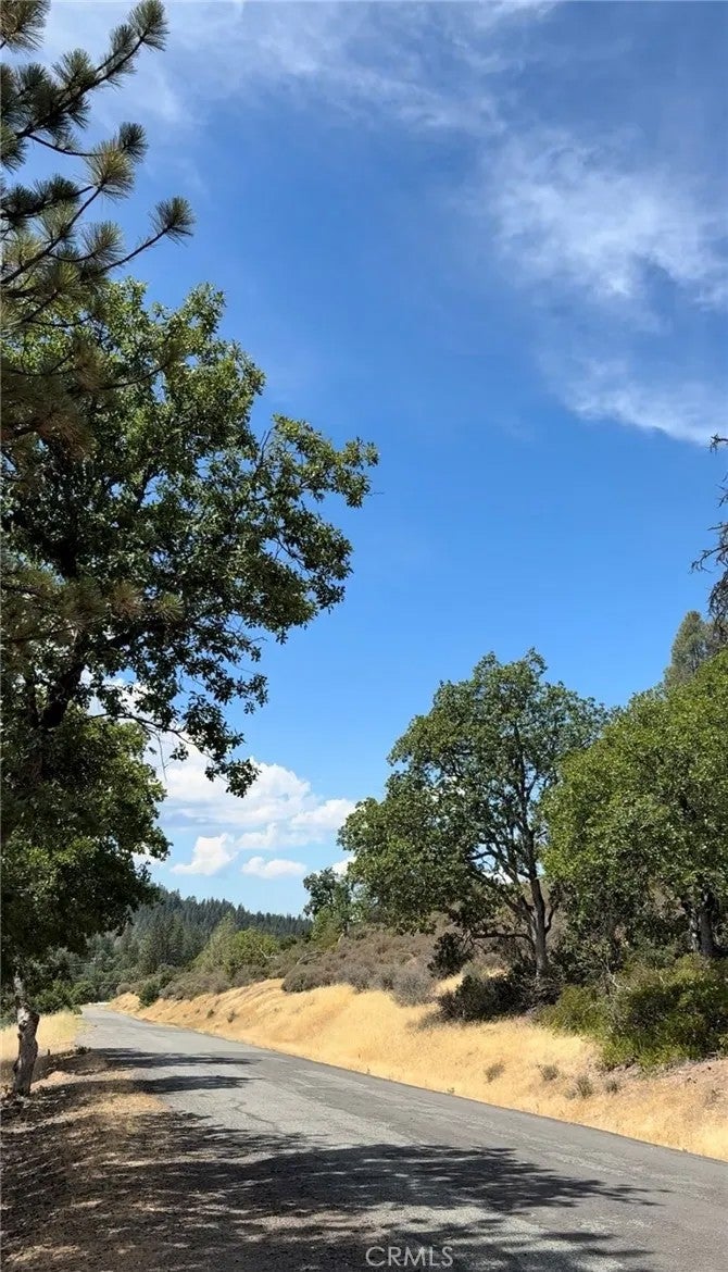 Photo of 1651 Summit Creek, Hayfork, CA 96041 (MLS # SR26155842)
