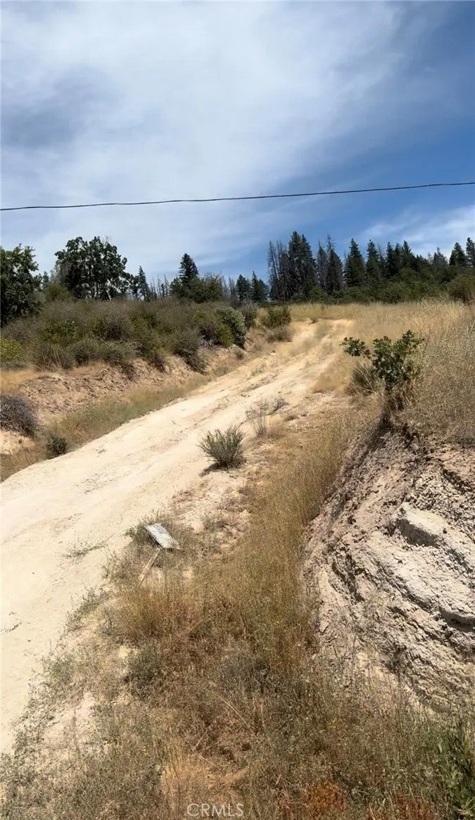 Photo of 1651 Summit Creek, Hayfork, CA 96041 (MLS # SR26155842)