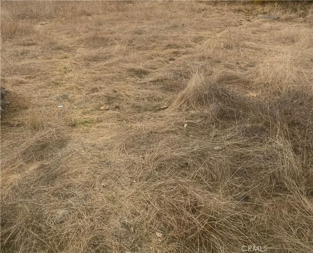 Photo of 0 Vac/Vic, Llano, CA 93544 (MLS # PW25276276)