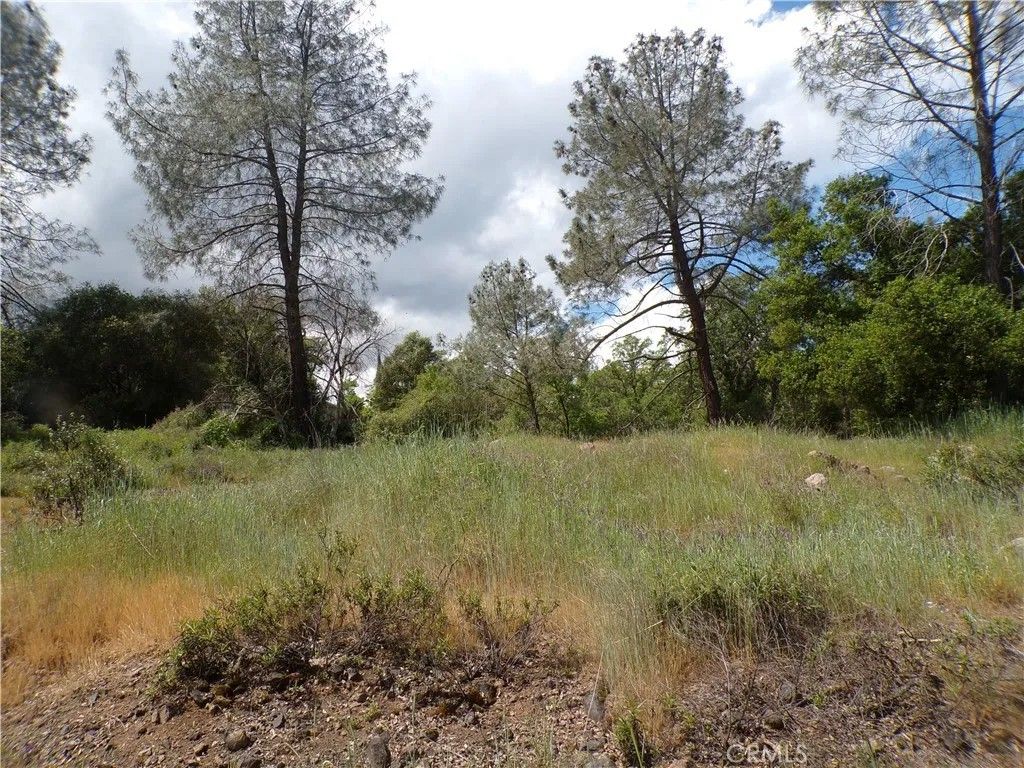 Photo of 14304 Redbud Ln, Clearlake, CA 95422 (MLS # LC26078187)