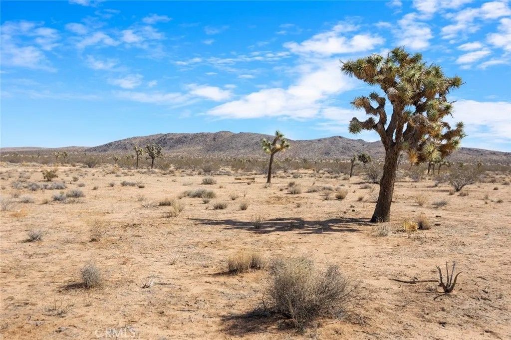 Photo of 0 Avalon, Yucca Valley, CA 92284 (MLS # JT25273461)