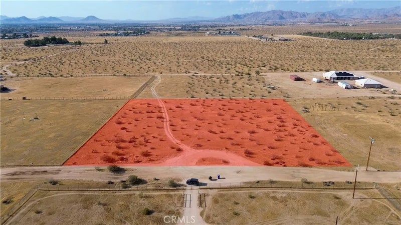 1 Chia