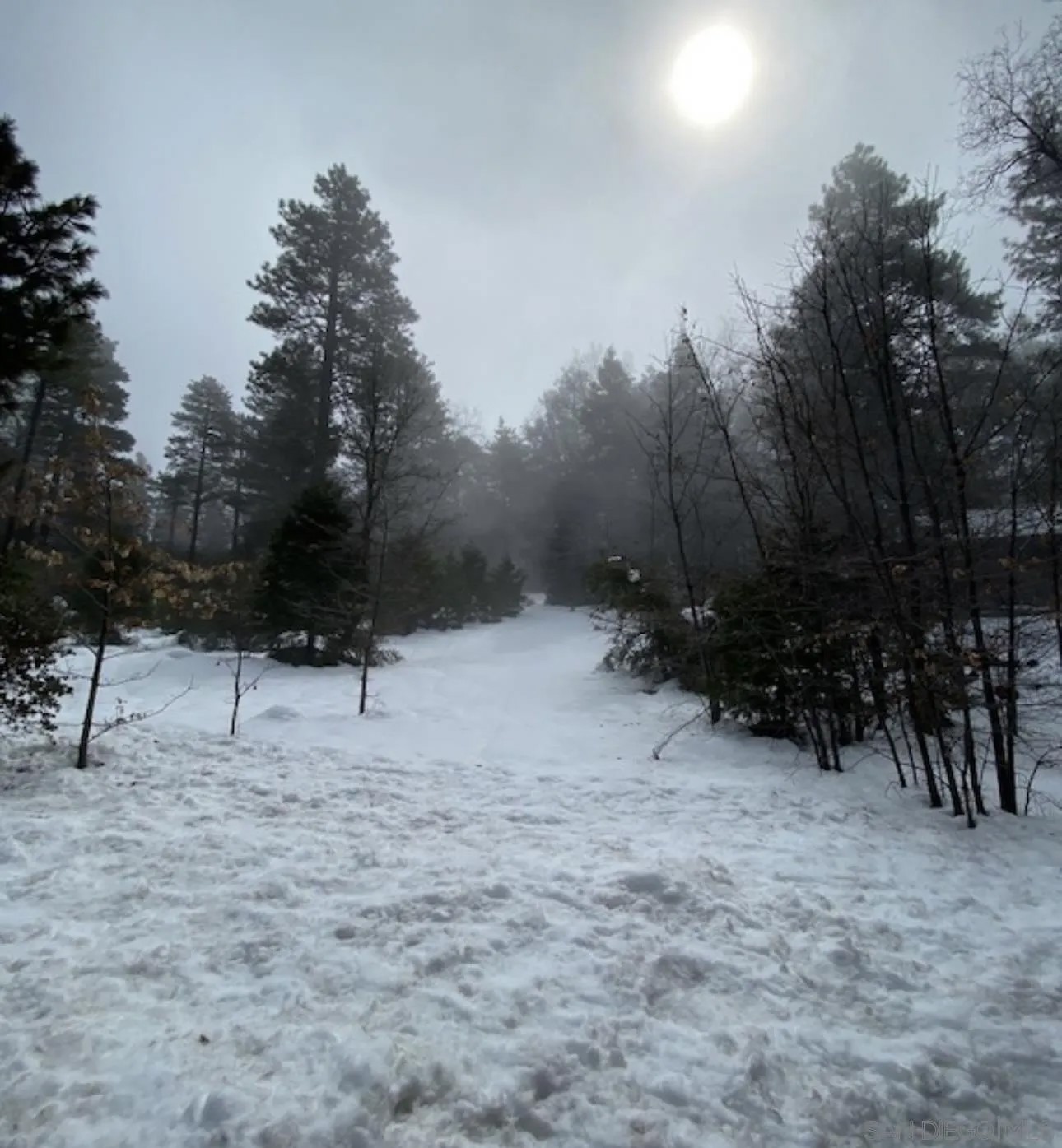 0 Laurel Trail Lot 7