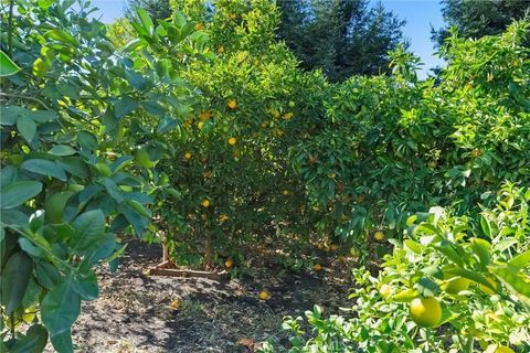 Tiny photo for 4227 Michelle Court, Chico, CA 95973 (MLS # OR25252805)