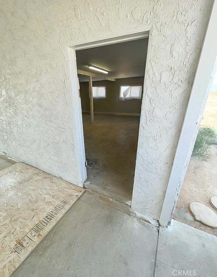 11252 Cactus