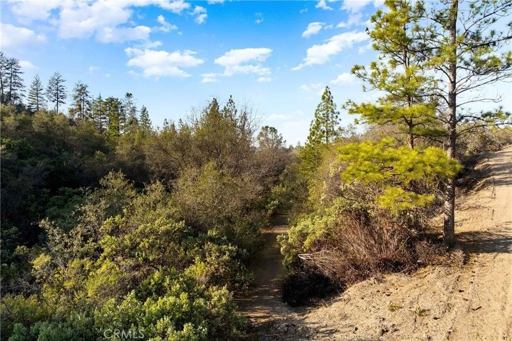 Photo of 1 Ridgeview, Sutter Creek, CA 95685 (MLS # IV26020214)