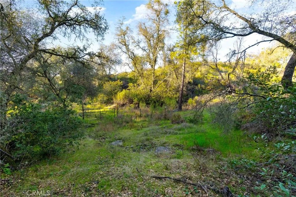 Photo of 1 Ridgeview, Sutter Creek, CA 95685 (MLS # IV26020214)