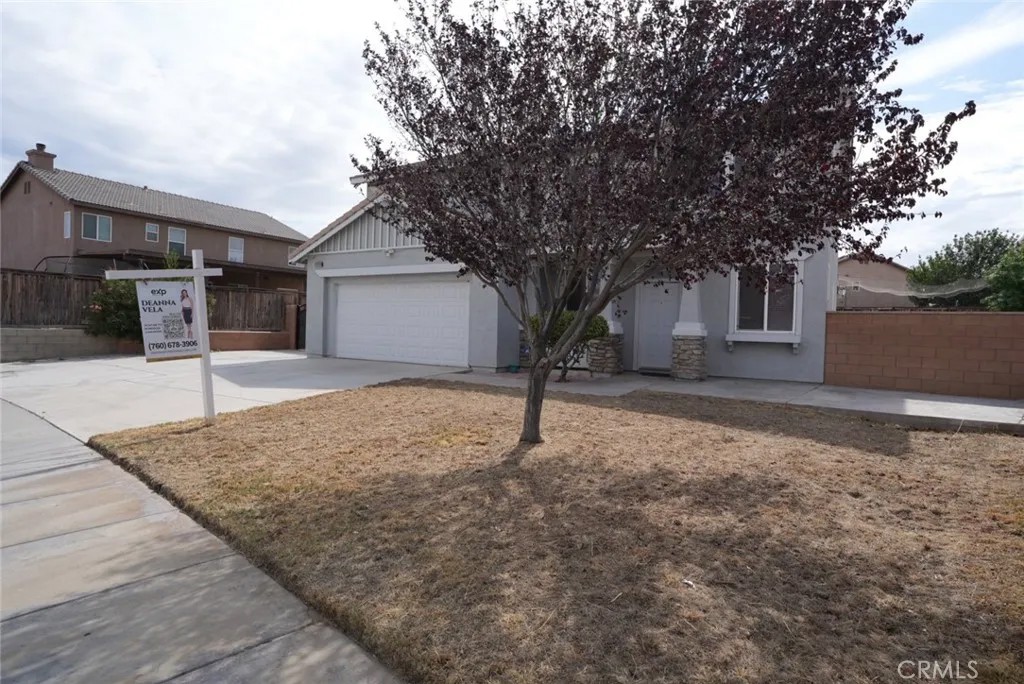 12620 Meadow Street
