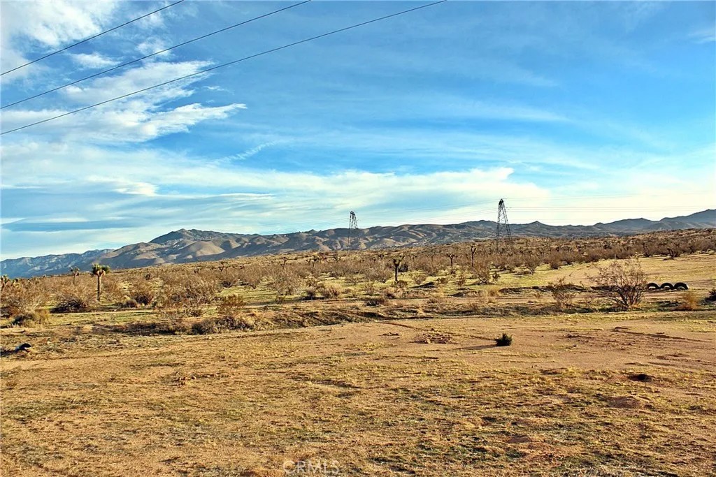 0 Desert View