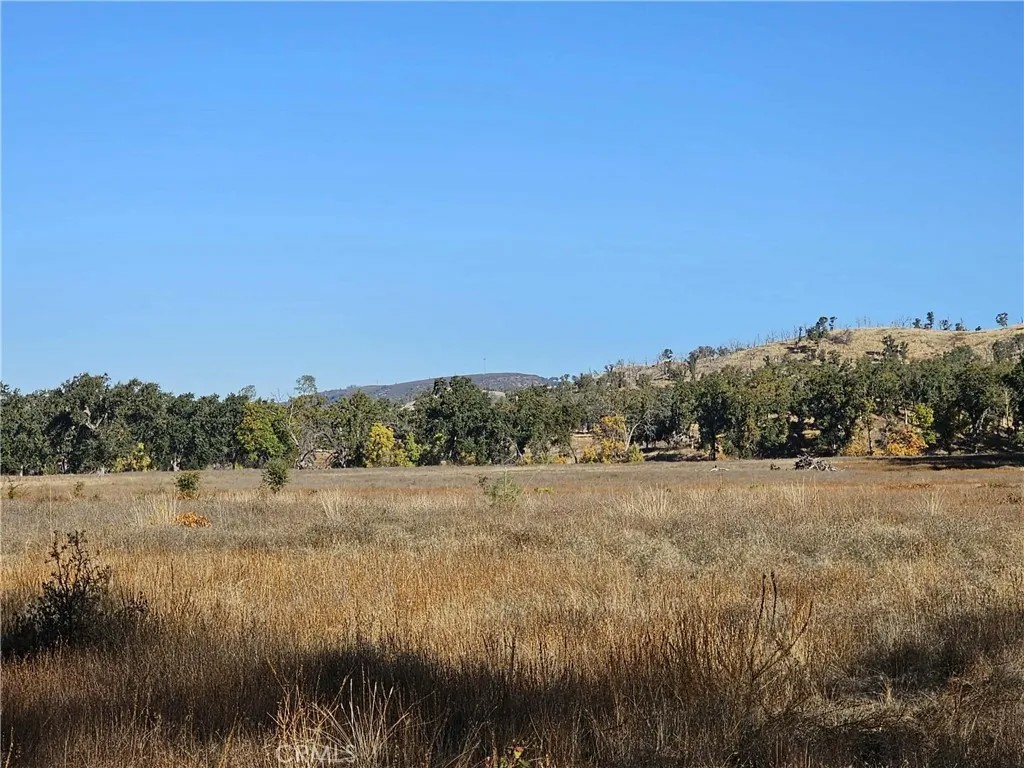 17680 Morgan Valley