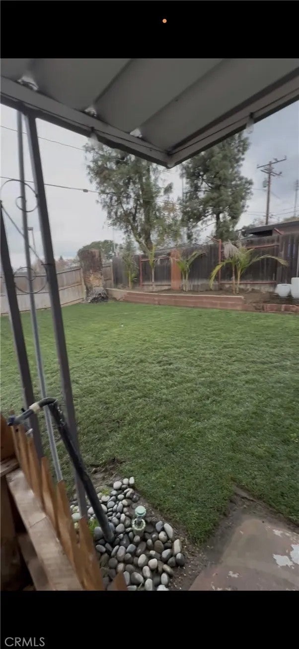 1504 Eucalyptus