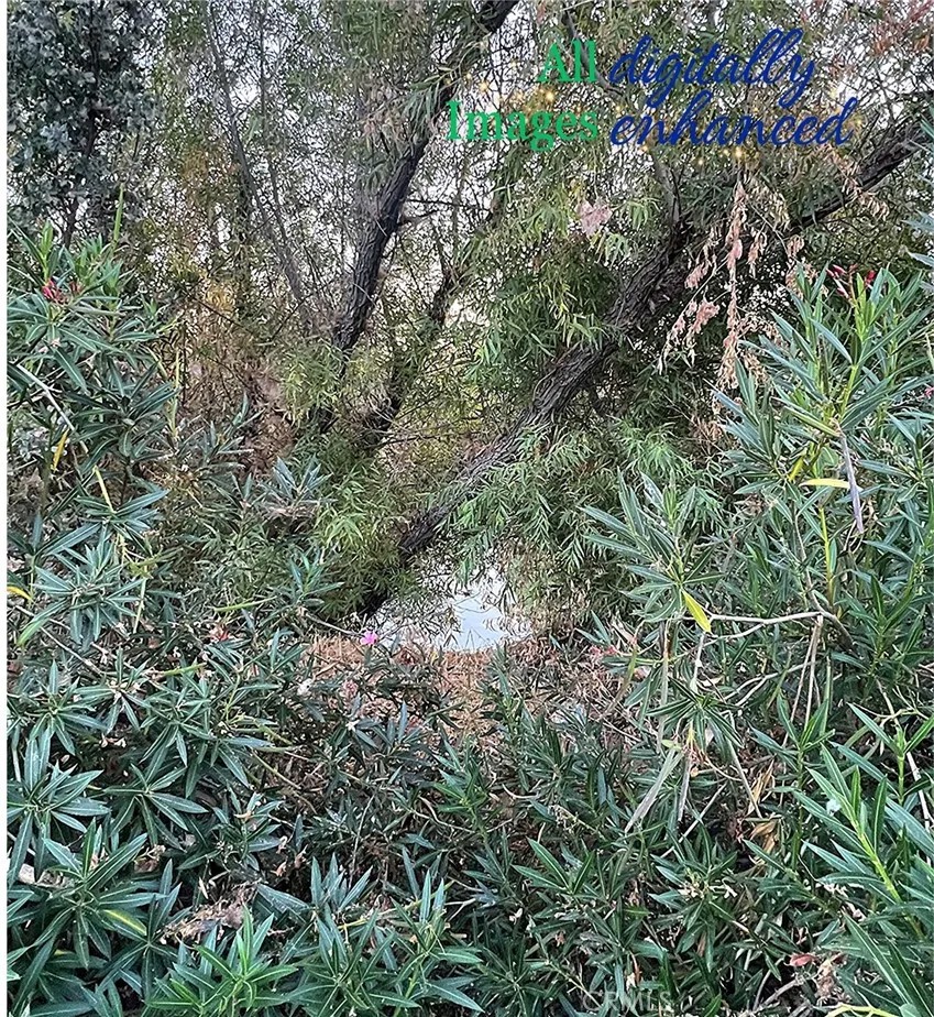 12230 Cerrito