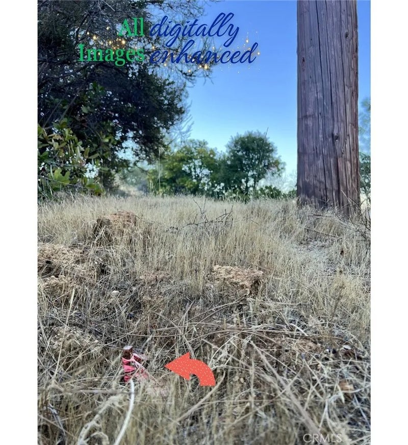 12230 Cerrito