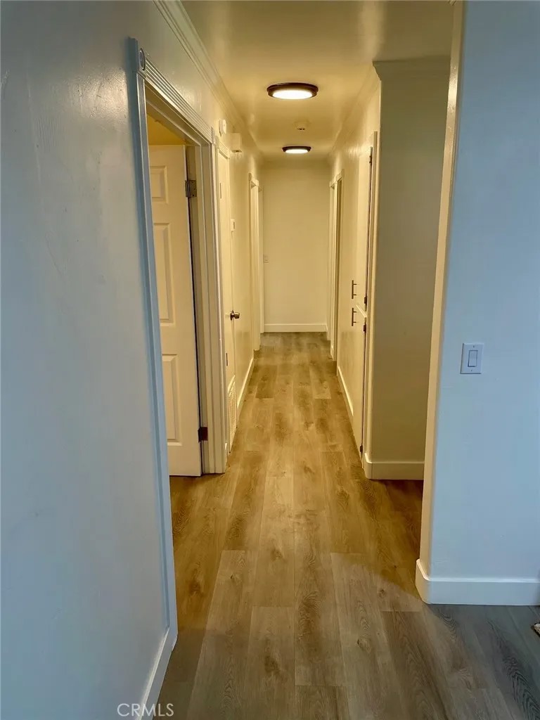 264 Juniper