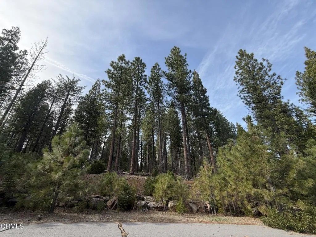 Photo of 16 Kirby, Burney, CA 96013 (MLS # V1-35497)