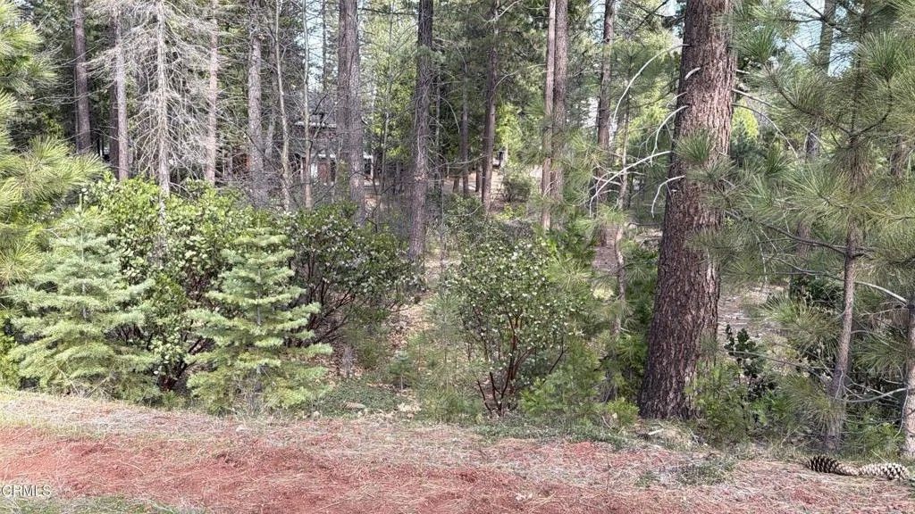 Photo of 16 Kirby, Burney, CA 96013 (MLS # V1-35497)