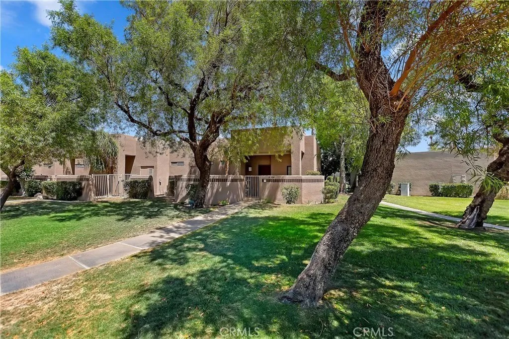 28984 Desert Princess Drive