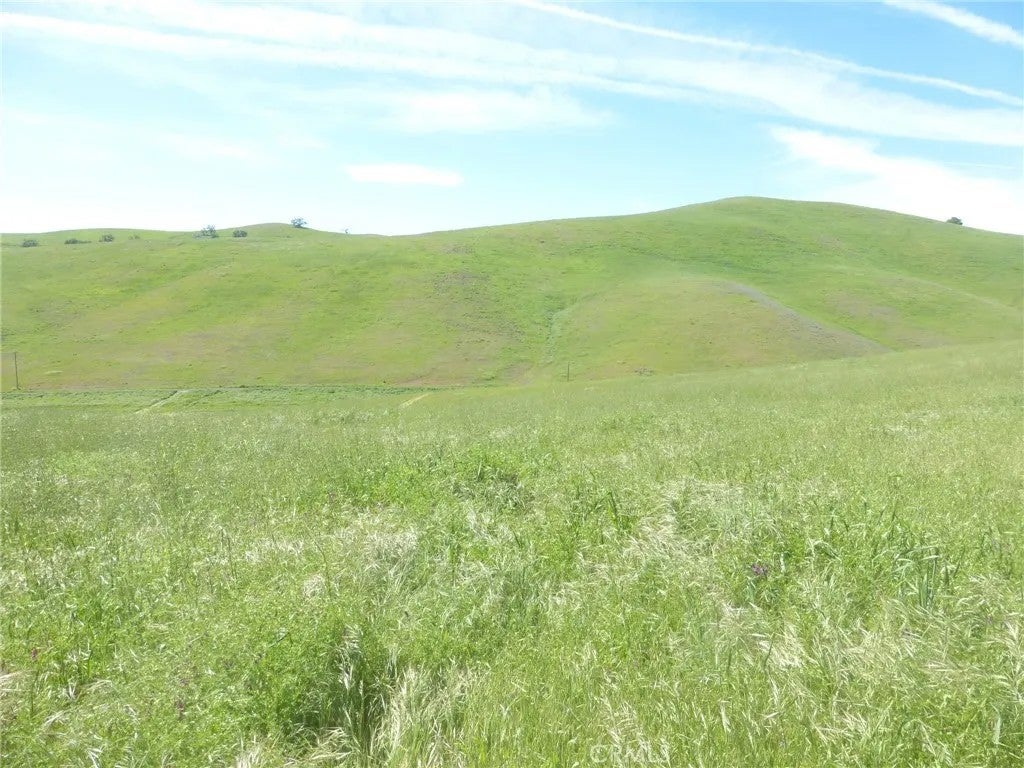 0 Douglas Rd. (Lot 42)