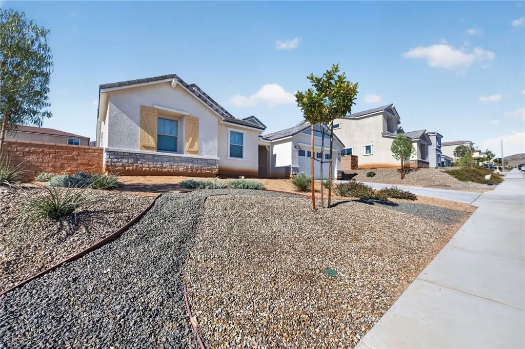 25167 Desert Sage